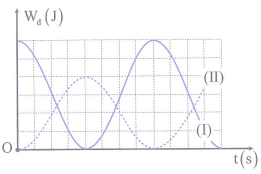 image7.png image7.png