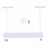 image3.png image3.png
