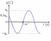 image4.png image4.png
