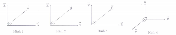 image1.png image1.png
