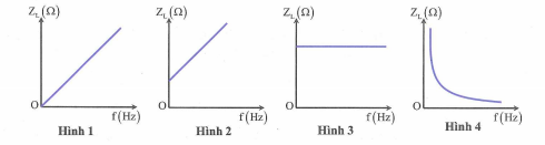 image2.png image2.png