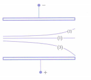 image3.png image3.png