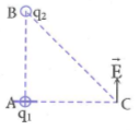 image2.png image2.png