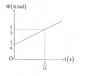 image2.png image2.png