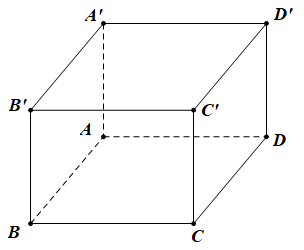 image5.png
