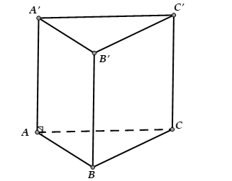 image6.png