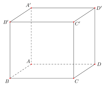 image6.png image6.png