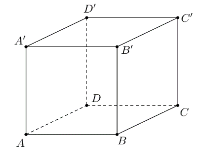 image4.png image4.png
