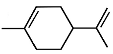 image2.png image2.png