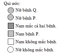 image2.png