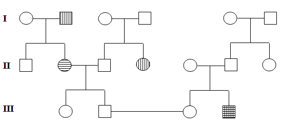 image3.png