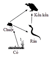 image2.png