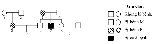 image5.png