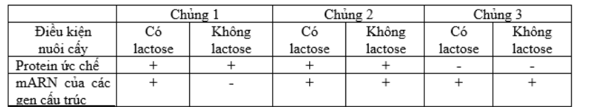 1651171095098.png 1651171095098.png