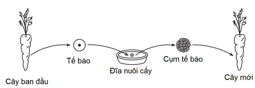 image2.png
