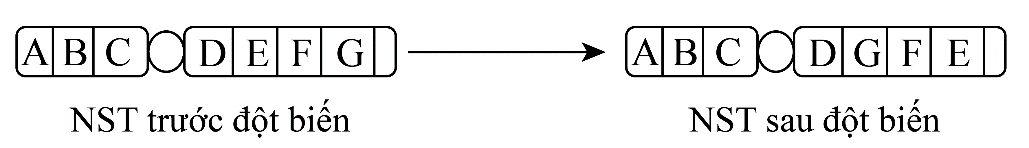 image3.png