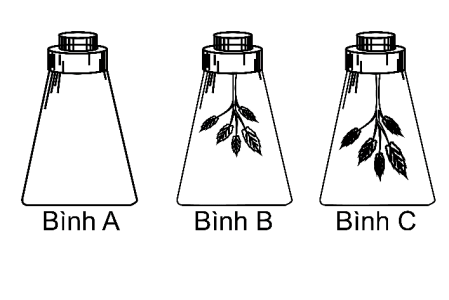 image4.png
