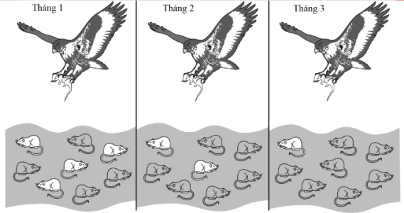 image5.png
