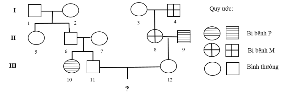 1651172939966.png