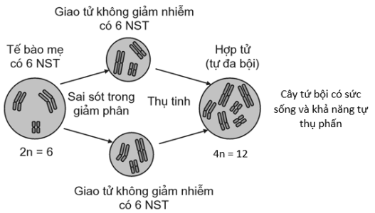 image3.png