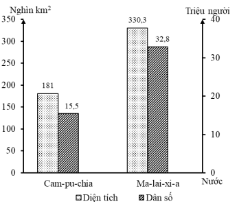 image1.png image1.png