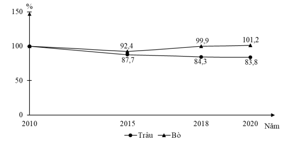 image4.png image4.png