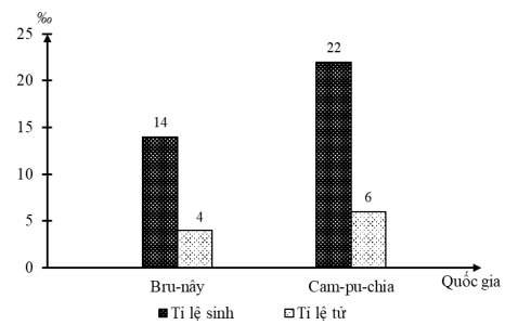 image1.png