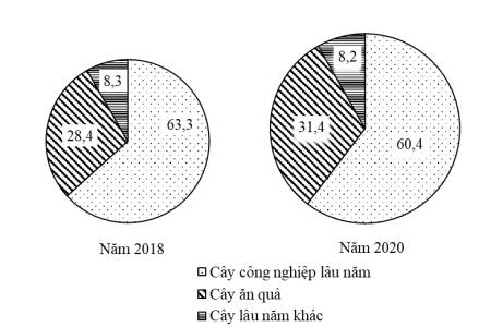 image3.png