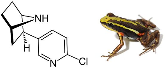 image1.png