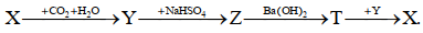 image1.png