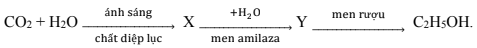 image1.png