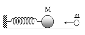image4.png image4.png