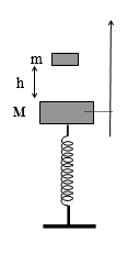 image5.png image5.png