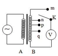 image2.png image2.png