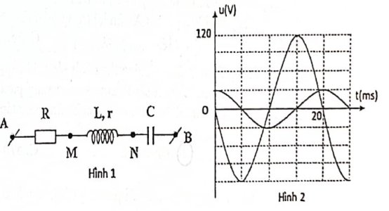 image5.jpg image5.jpg