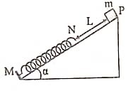 image6.jpg image6.jpg