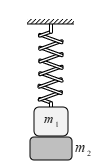 image5.png image5.png