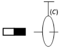 image1.png image1.png