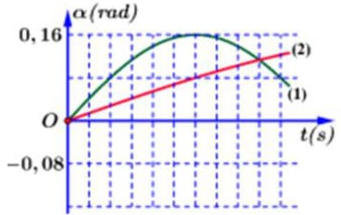 image6.png image6.png