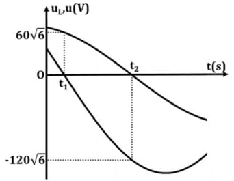 image7.png