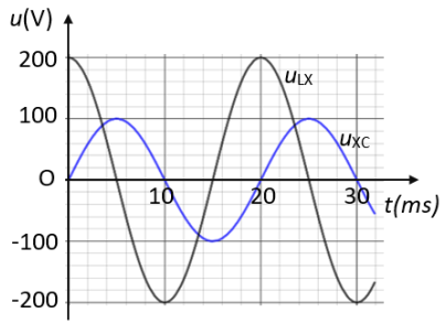 image7.png image7.png