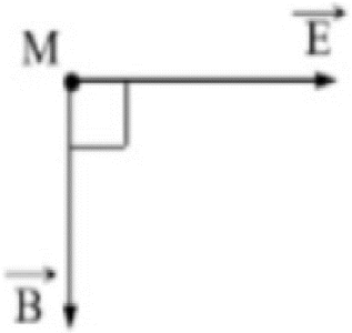 image1.png image1.png