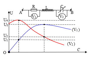image3.png image3.png