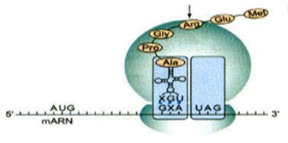 image2.png image2.png