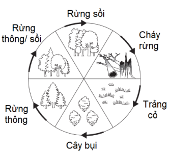 image1.png