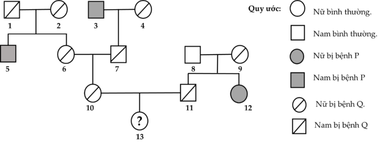 image2.png