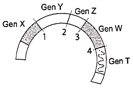 image2.png