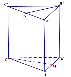 image6.png image6.png
