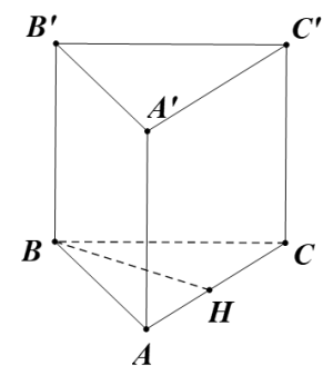image8.png image8.png
