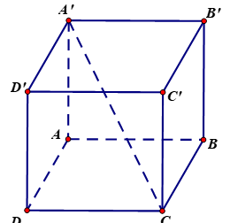 image7.png